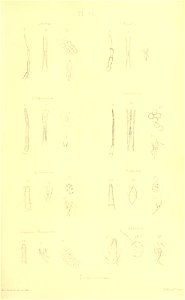 n394_w1150