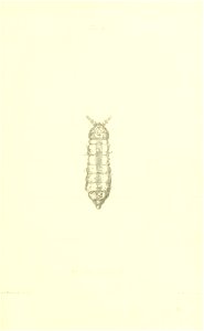 n380_w1150