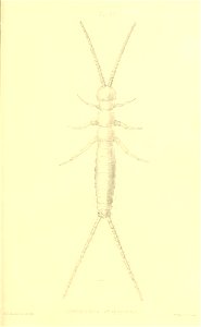 n382_w1150