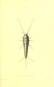 n386_w1150