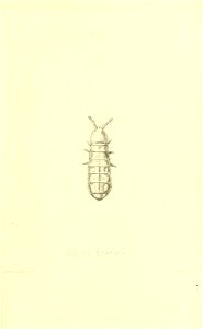 n374_w1150