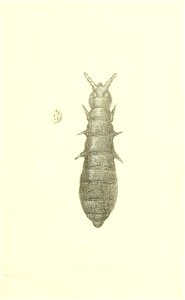 n376_w1150