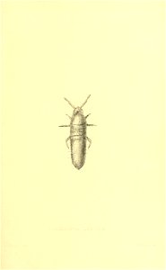 n334_w1150
