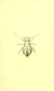 n302_w1150