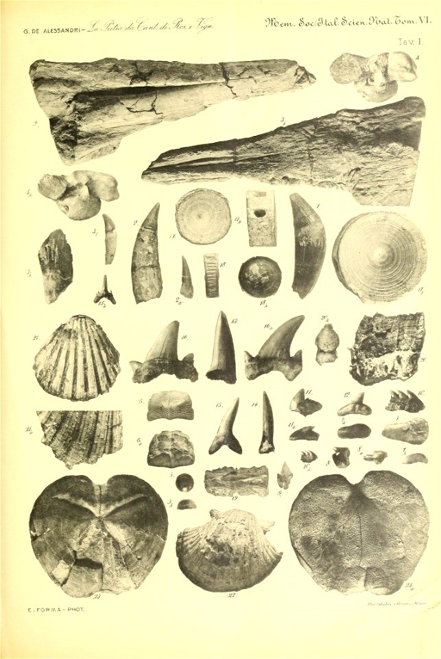 n118_w1150