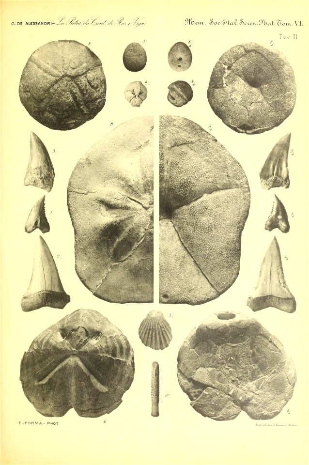 n122_w1150