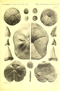 n122_w1150
