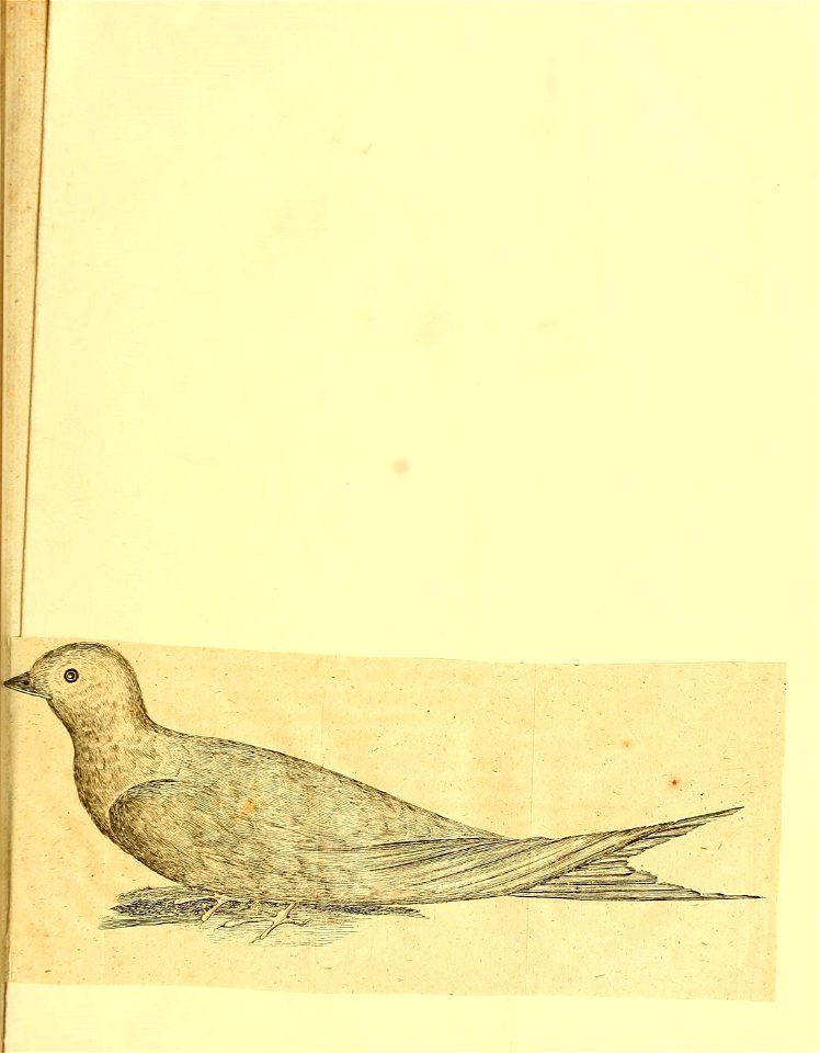 n126_w1150