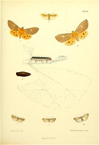 n236_w1150