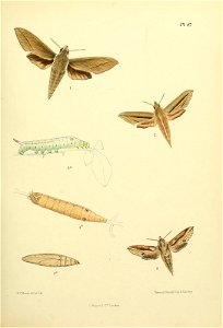 n206_w1150