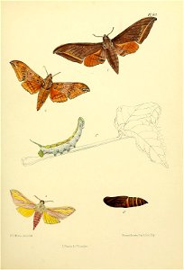 n192_w1150