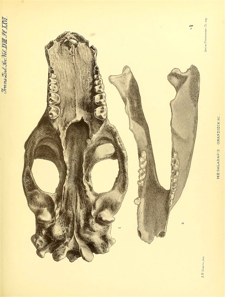 n282_w1150