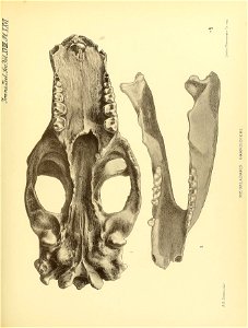 n282_w1150