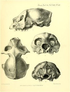 n254_w1150