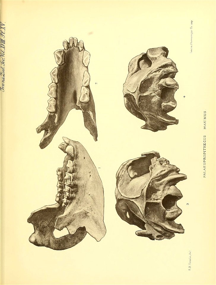 n238_w1150