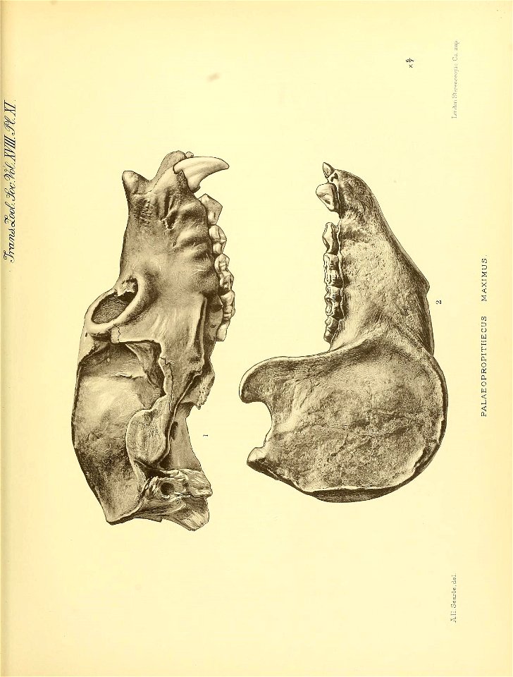 n220_w1150