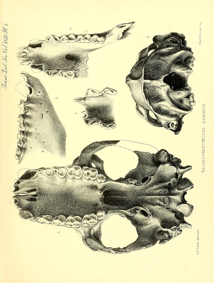 n216_w1150