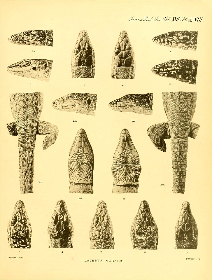 n512_w1150