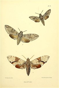 n180_w1150