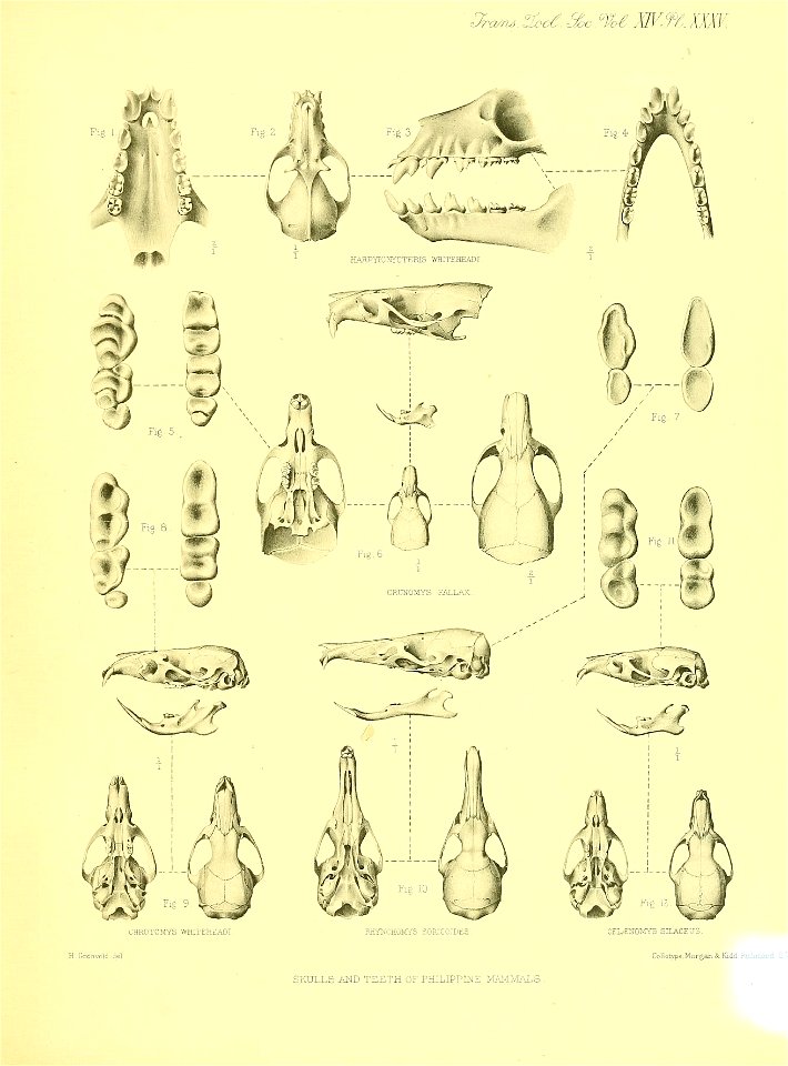 n508_w1150