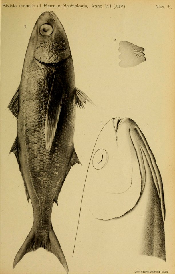 n368_w1150