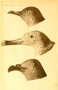 n1067_w1150