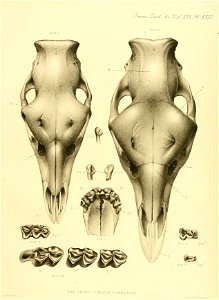 n412_w1150