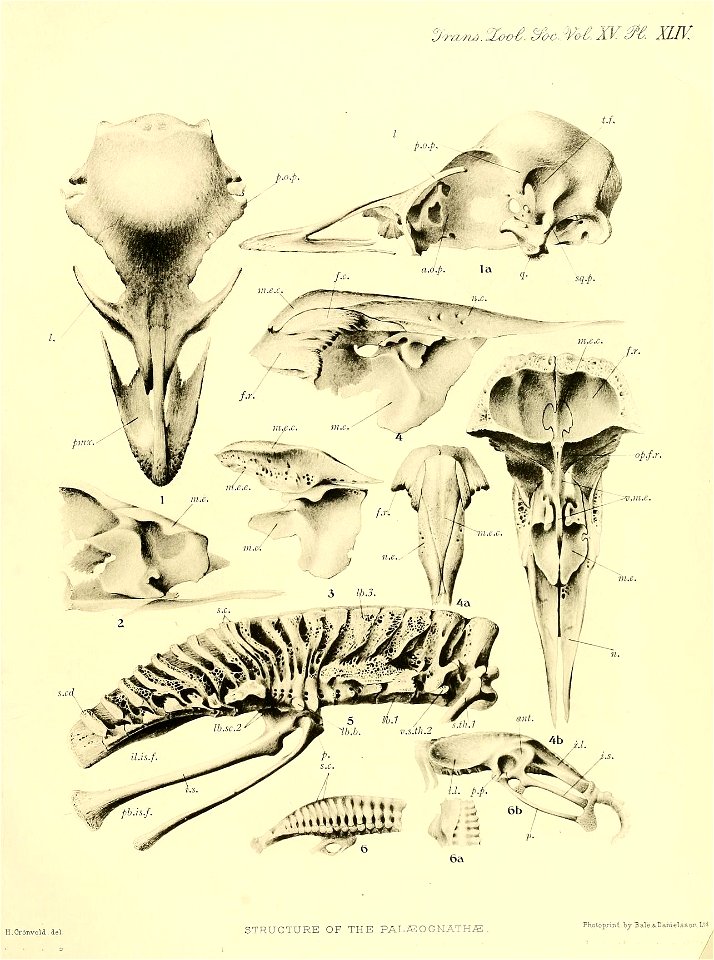 n404_w1150