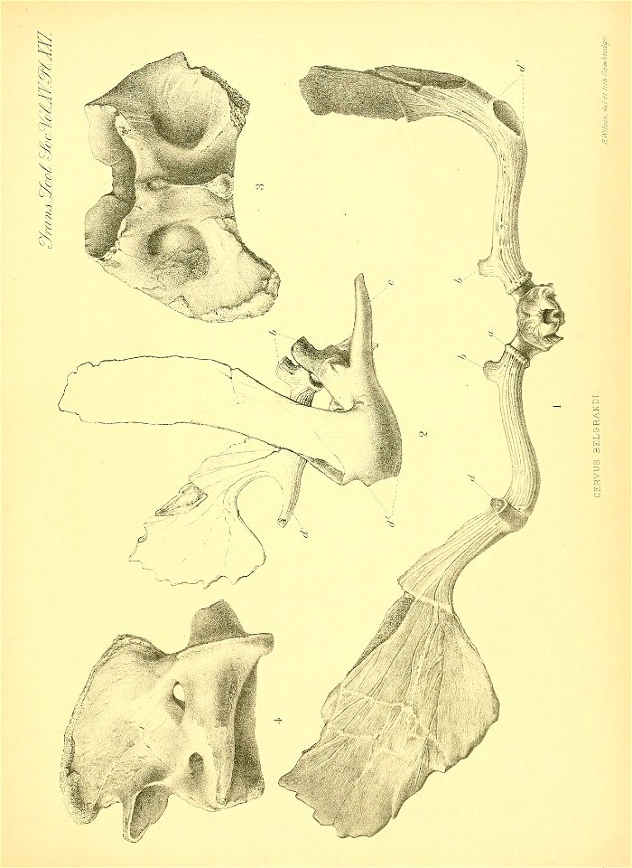 n166_w1150
