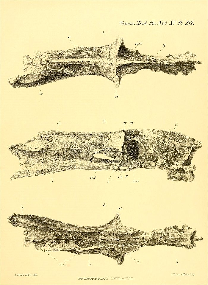 n136_w1150