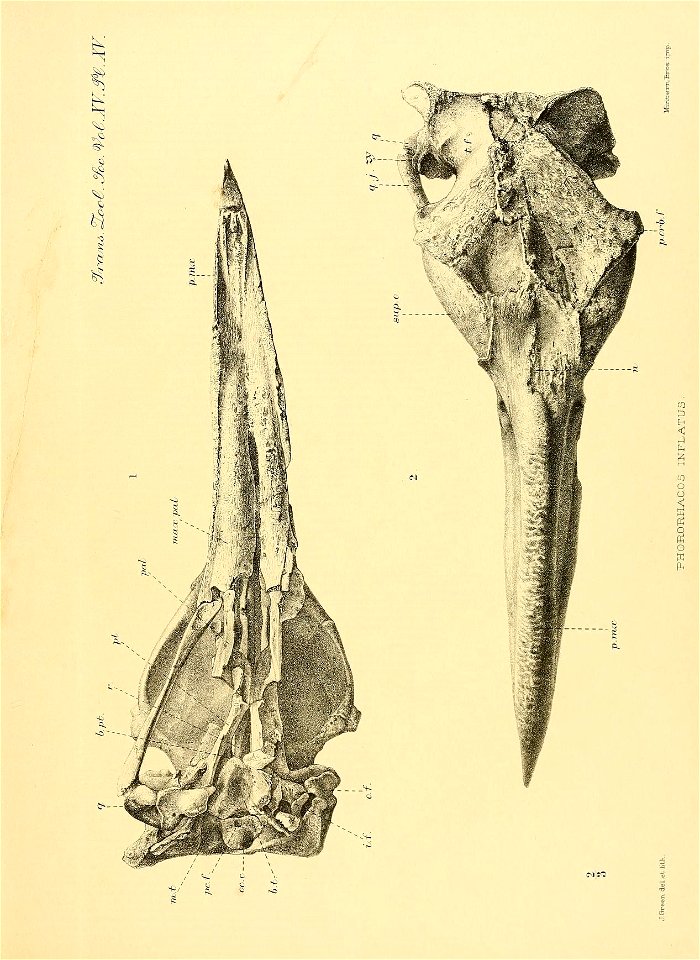 n134_w1150