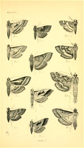 n404_w1150
