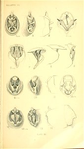 n258_w1150