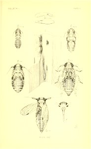 n606_w1150