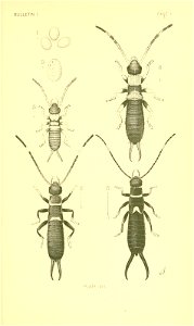 n258_w1150