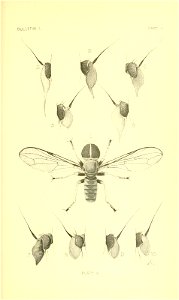 n226_w1150