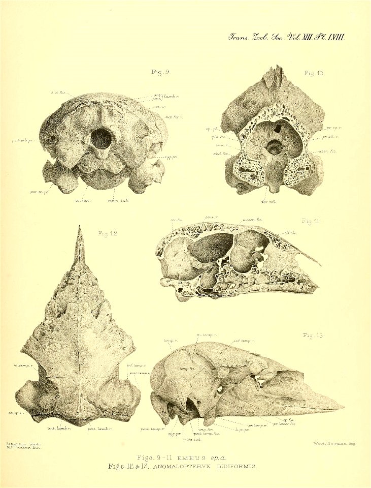 n566_w1150