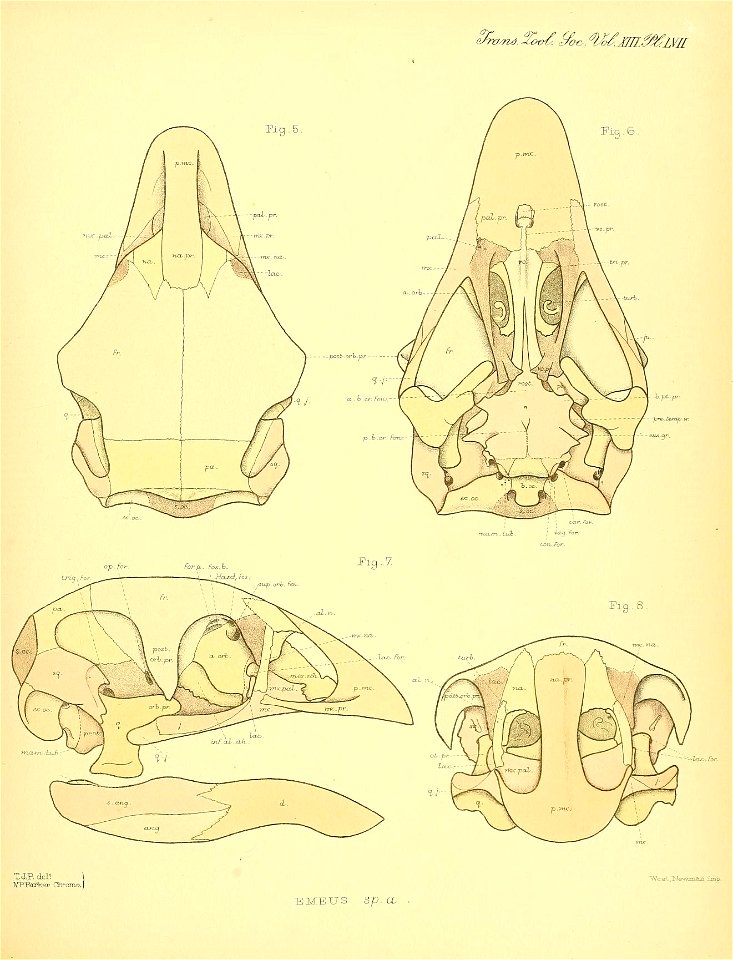 n564_w1150