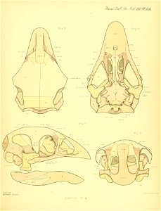 n564_w1150