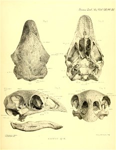 n562_w1150