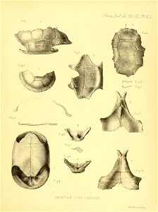 n418_w1150