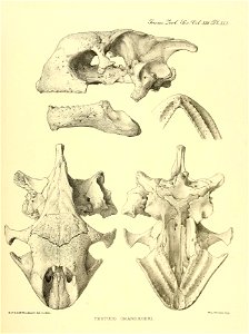 n404_w1150