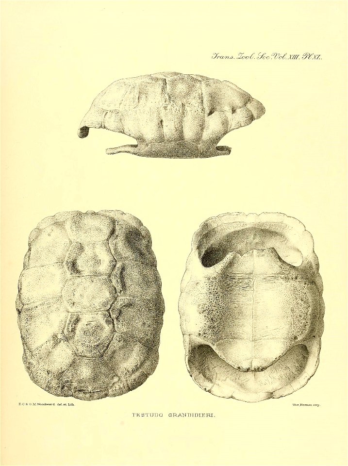 n402_w1150