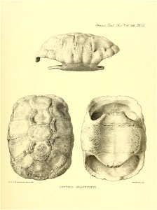 n402_w1150