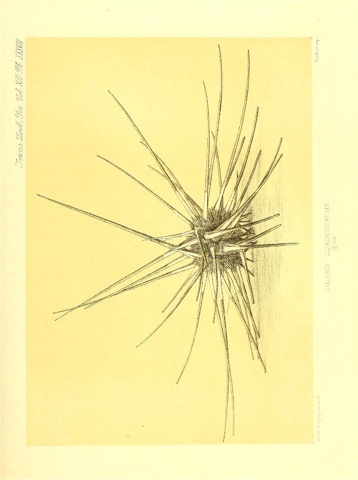 n390_w1150