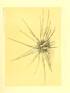 n390_w1150