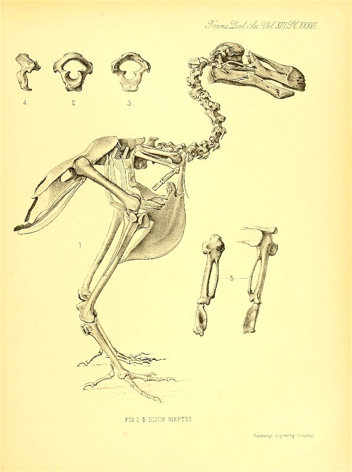 n384_w1150