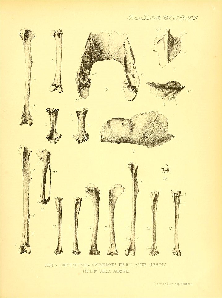 n378_w1150