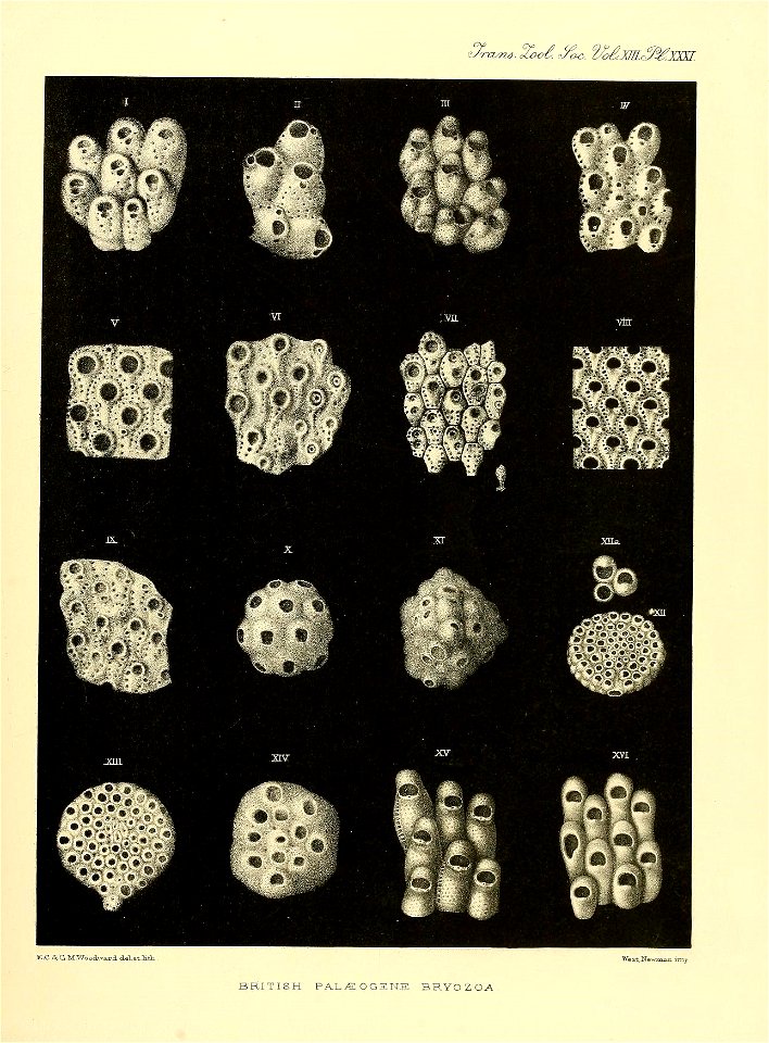 n352_w1150