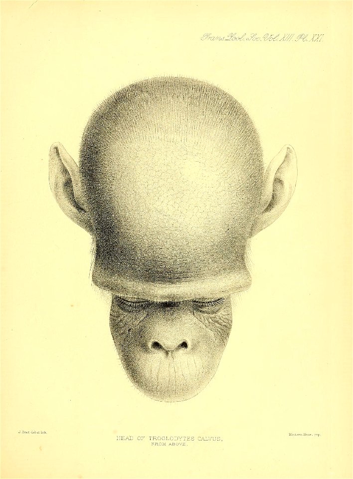 n268_w1150